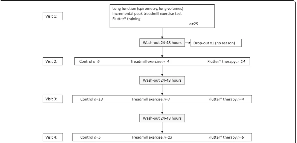 Fig. 1 Participant flow during the trial