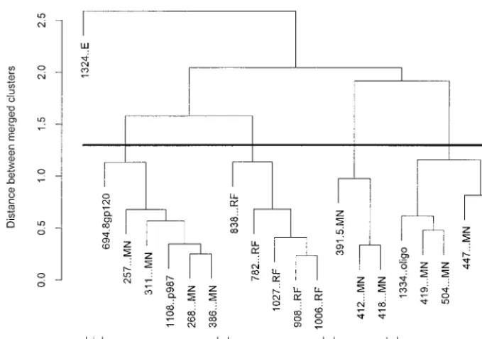 FIG. 2. Dendrogram of the 21 anti-V3 MAbs showing the immunologic relationships deﬁned by their reactivities with 50 V3 peptides
