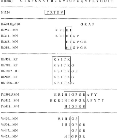 FIG. 3. Core epitopes of anti-V3 MAbs grouped by mathematically deﬁnedclusters. The core epitopes of 19 of the 21 MAbs used in these studies have been