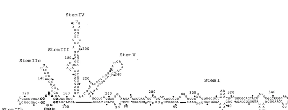 TABLE 1. Oligonucleotides used