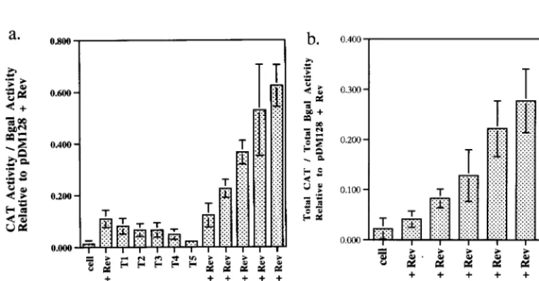 FIG. 7. RBE concatemers are Rev responsive. A representative sample of results of CAT assays carried out with the RBE concatemer series is shown