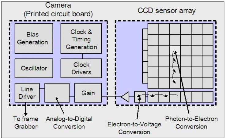 Figure 1.3 Sense node (photodetector) and the associated readout components in CMOS sensors