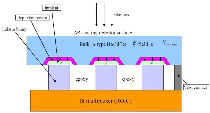 Figure 1.5 Cross section of typical IR hybrid CMOS detectors (per-pixel depleted) and Si multiplexer