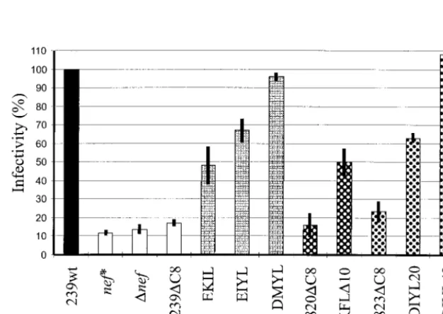 TABLE 1. Functional relevance of SIVmacC8 nef mutations