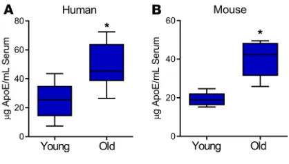 Figure 5. Circulating ApoE levels in humans and in mice increase with age. Serum col-lected from (A) humans (young, 35–45 years of age; old 75–85 years of age) and from (B) mice (young, 4 months old; old, 24 months old) was assessed for total ApoE protein 