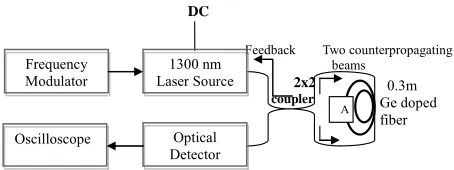 Figure 1. Experimental setup of a nonlinear dynamic based on NOLM. 