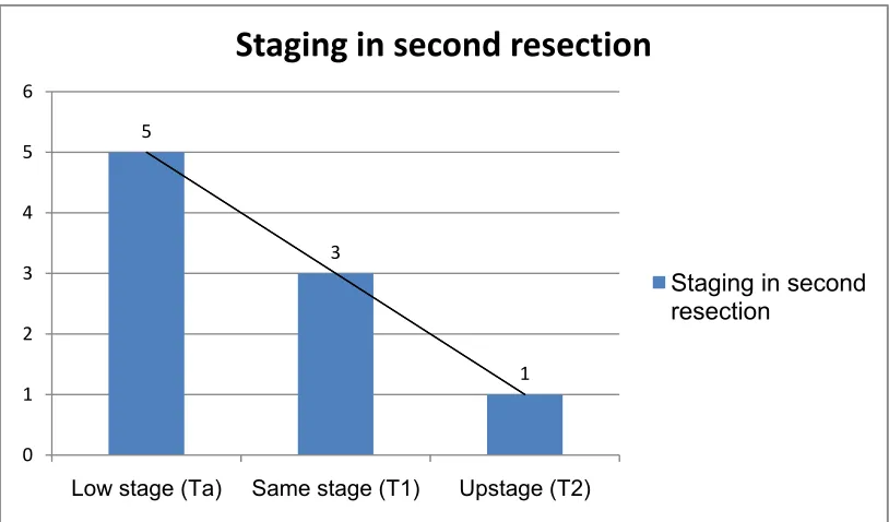 Figure 6: Tumor staging in second resection. 