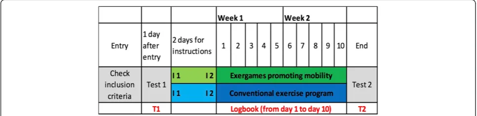 Fig. 2 Study time flow. The researcher performs the subjective and objective balance tests (BBS, ActiGraph and FES-I) at the time point T1 (seeFig