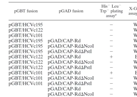 TABLE 1. Yeast two-hybrid system for analysis of the interactionbetween HCV core protein and CAP-Rd and its deletion mutants