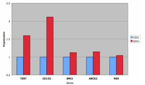 Figure 6cellsCD133, BMI-1, NES and ABCG2 in the ABCG2Expression of stem cell genes in ABCG2Expression of stem cell genes in ABCG2+ cells
