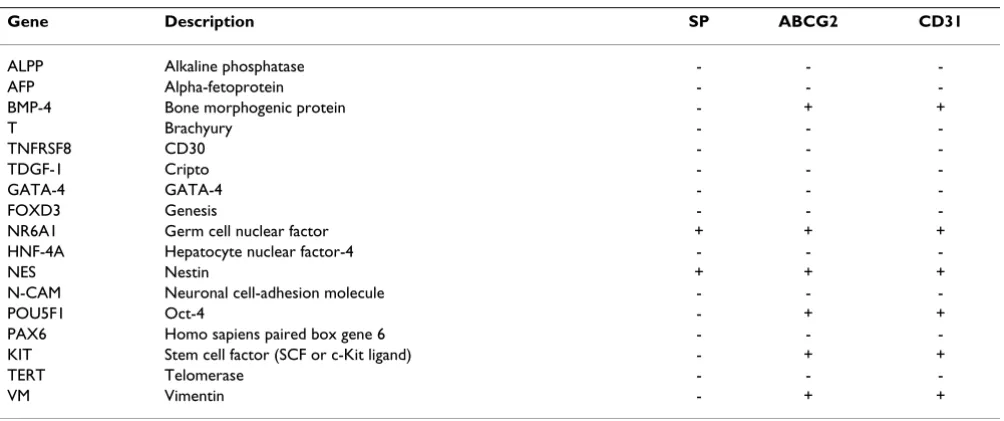 Figure 1ABCG2cells in the prostate epitheliumABCG2+ cells in the prostate epithelium. Serial sections of normal human prostate were stained for ABCG2 (A – C) or CD138 (D – F)