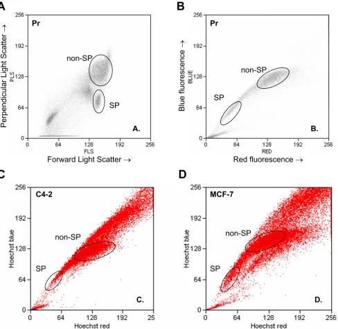 Figure 2Prostate epithelial side populationefflux characteristics of the cells. Cytograms show the dye efflux characteristics of (D) Prostate epithelial side population