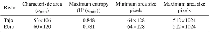 Fig. 1. River network binary images at 0.5 km resolution:  (a) Tajo and (b) Ebro.