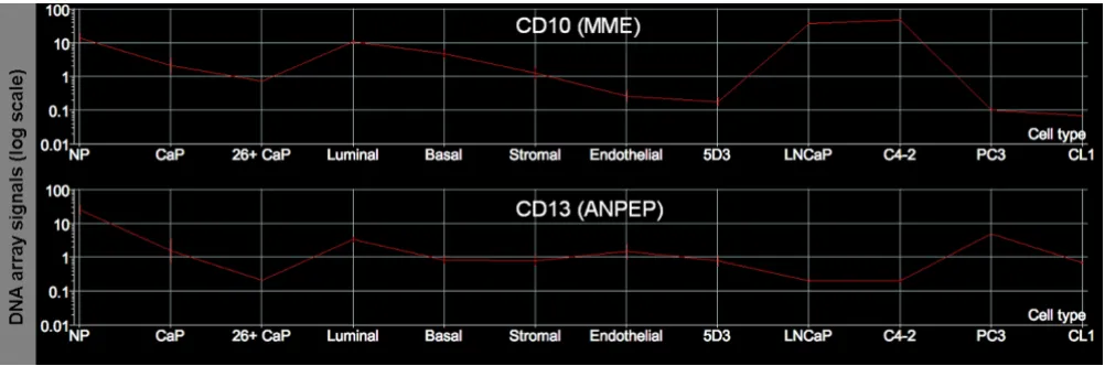 Figure 2Gene expression profilesMost of the published raw data are available from our website