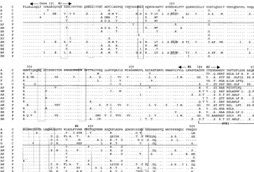 FIG. 2. Alignment of inferred amino acid sequences for the majority sequences from each subject