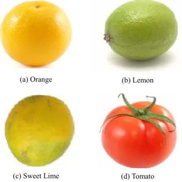 Figure 3  Sample dataset 