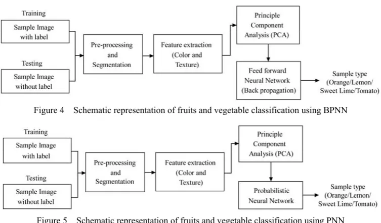 Table 3.  Table 3  Classification results for sample category  