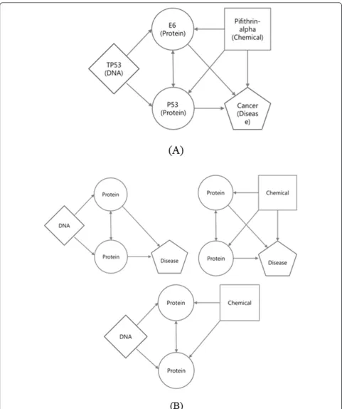 Figure 3 Concept description of TNM. (A) An example relational network (relation value not indicated) and (B) its possible four-node TNMs.TNMs use only types of nodes and types of relations (not their values).