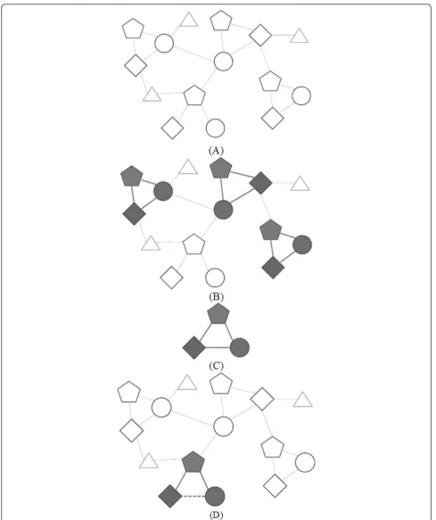 Figure 5 Examples to explain inference model generation and application of TNMCA. (A) An example multi-typed relational network(relation value not indicated)