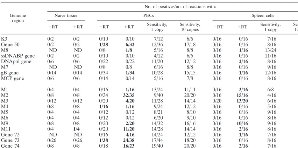 TABLE 2. Detection of genome regions by PCR and RT-PCRa