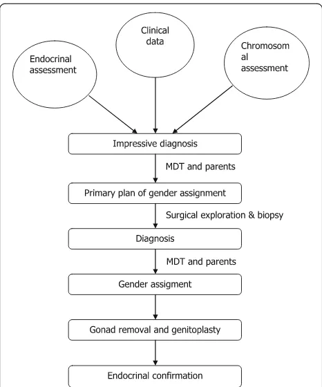 Fig. 1 The procedure for diagnosis and management of OT-DSDpatients in our hospital