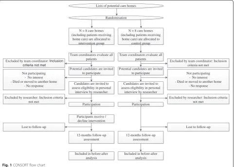 Fig. 1 CONSORT flow chart