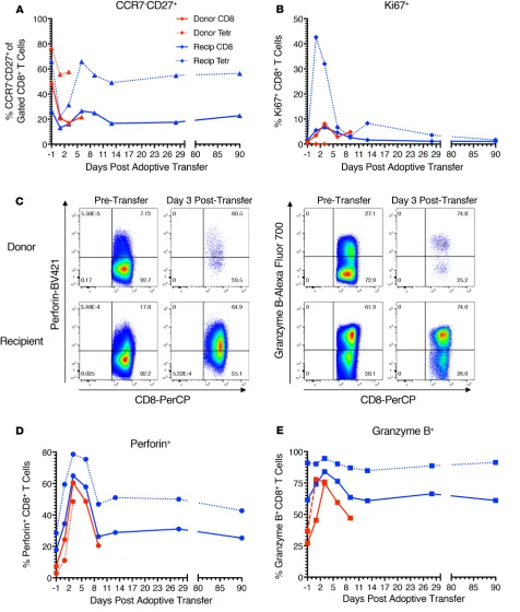 Figure 6. Donor and recipient total and HIV-specific CD8+and donor (red diamonds) are shown at the same time points around adoptive transfer