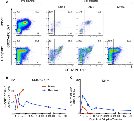 Figure 7. Phenotype of donor and recipient CD4+reverting to a CCR7 T cells changed after transfer, then reverted back to baseline