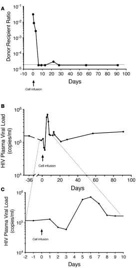 Figure 2. Levels of donor cells and plasma HIV over time following infusion of ~15 billion donor lymphocytes (~22 billion total cells).was a rapid loss of donor cells so that by day 6 donor cells were at or below the level of detection