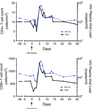 Figure 3. Changes in CD4+decrease in both CD4 and CD8+ T cell numbers over time following the cell infusion