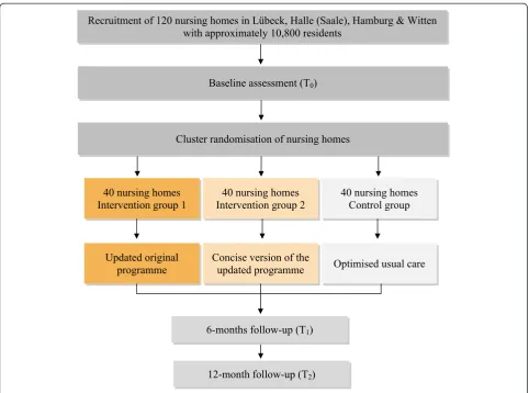 Fig. 1 Flowchart for the cluster-randomised controlled trial