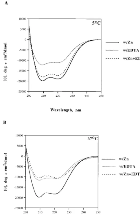 TABLE 1. Calculated content of secondary structures of theHHCC domaina