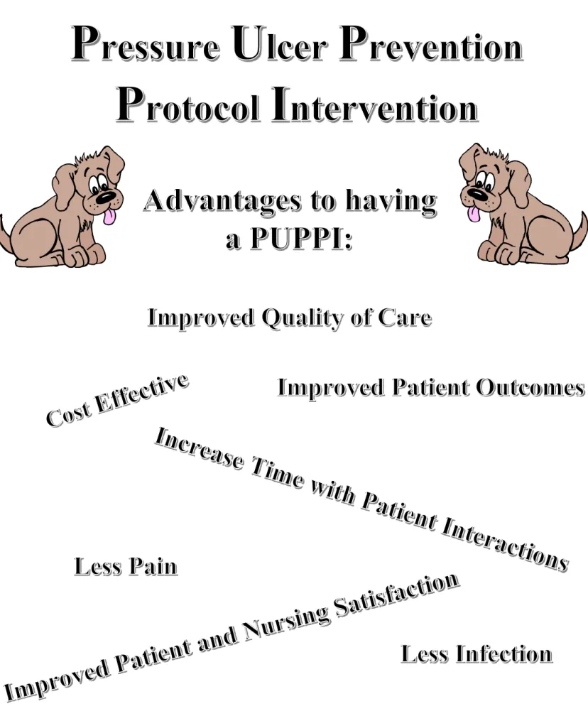 Figure 3.D  PUPPI Flyer 3 