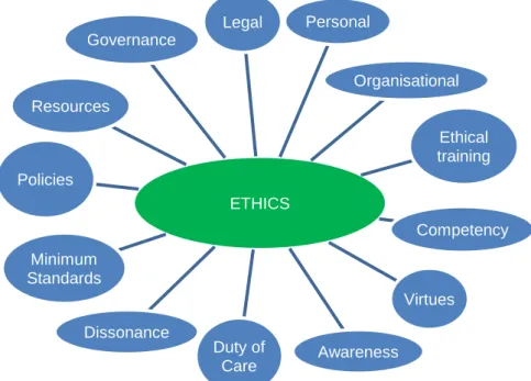 Figure 2 – a priori themes considered for the formation of the pilot interview 