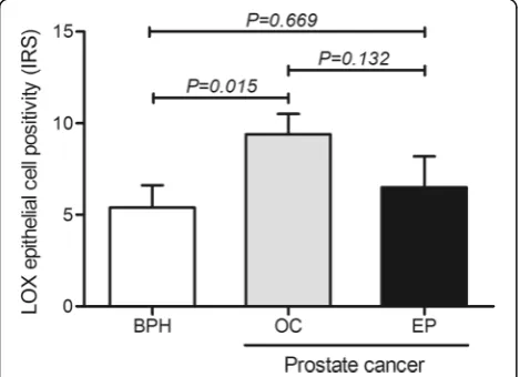 Fig. 4 LOX immunoreactivity score by HIF-1α positivity in epithelialcells. Patients with positive HIF-1α expression are prone to higher LOXIRS