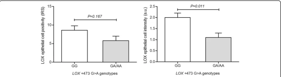 Table 2 Association of the genetic polymorphisms in HIF1A+1772 C > T and CA9 + 201 A > G with HIF-1α and CAIXimmunoreactivity in prostatic epithelial cells