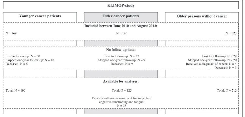 Fig. 1 Flow-chart: patient population of the KLIMOP-study