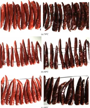 Figure 4  Comparison between the fresh chilies before experiment and dried chilies when the drying temperature was (a) 70ºC,  (b) 80ºC, and (c) 90ºC 