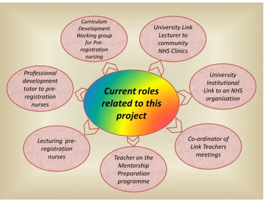 Figure 1 Current roles related to this project 