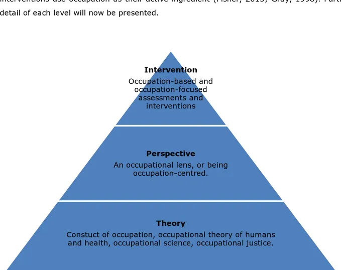 Figure 3 Occupational Practice Model    