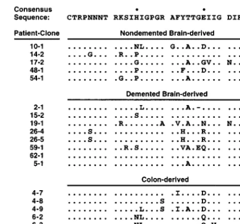 FIG. 1. Three groups of V3 loop amino acid sequences, isolated by postmor-tem PCR from brain tissue and colon tissue of AIDS patients, show homology to