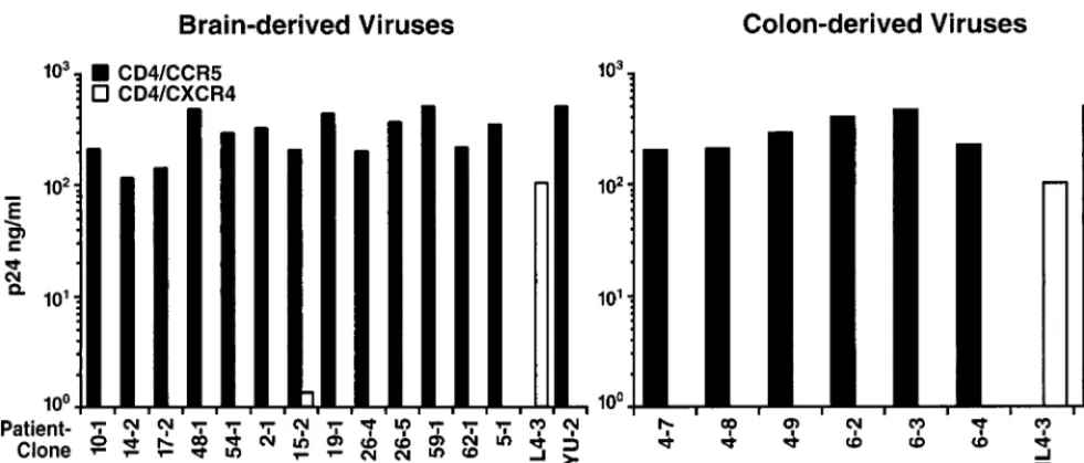 FIG. 2. Efﬁcient and uniform use of CCR5 but not CXCR4 as a coreceptor by all V3 recombinant viruses