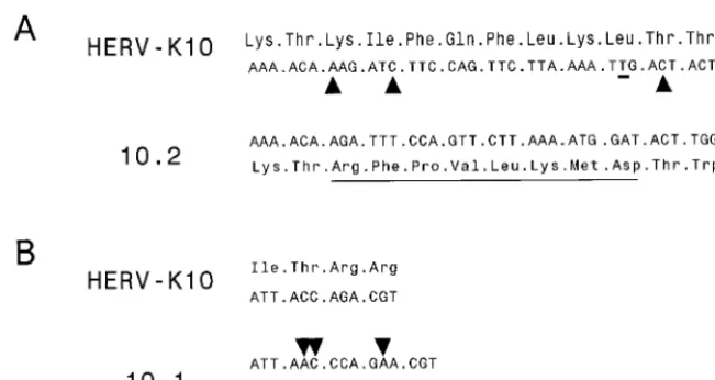 FIG. 11. Multiple insertions and deletions are needed to restore the RT open reading frame