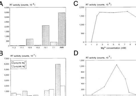 FIG. 5. Enzyme characteristics of the HERV-K RT polymerase. (A) Activity of the different HERV-K RT enzymes in a regular poly(rA)-oligo(dT) assay