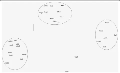 Fig. 2 Multiple correspondence analysis (MCA) of the responses of the normative grid of case management projects