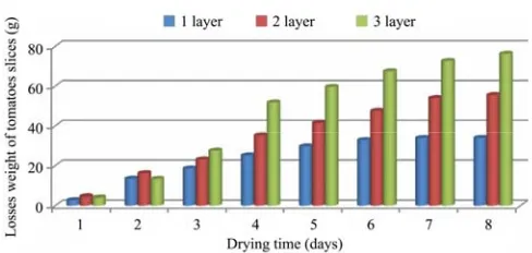 Figure 14  Losses weight of different tomatoes slices during drying in solar drying inside solar dryer with thickness 2 cm 