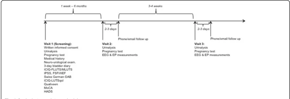 Fig. 2 Study design and time schedule