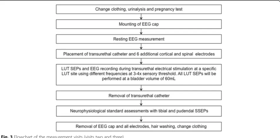 Fig. 3 Flowchart of the measurement visits (visits two and three)