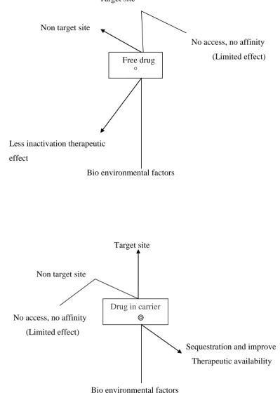 Figure No: 1 Principle & Rationale of drug targeting: 