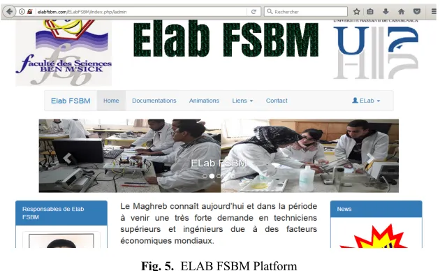 Fig. 5. ELAB FSBM Platform 